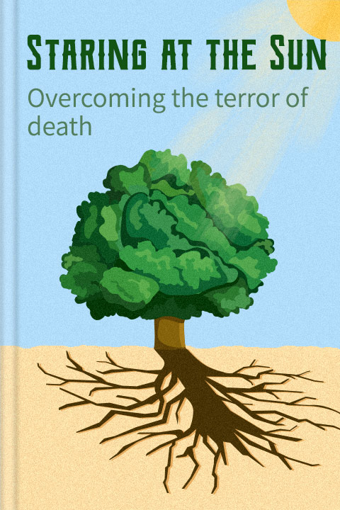 Staring at the Sun audiobook cover